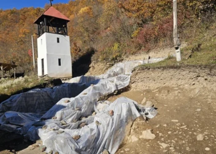 T7sk9kqTURBXy9hNjJlMjQ1YTIwY2RkNGM3ZjAyYjI2MjA3MWQzMjdlOC5qcGVnkZMCzQHCAN4AAqEwBaExAg